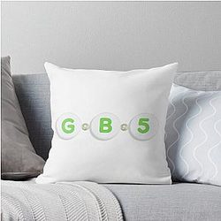 Gabriel Bortoleto Friendship Throw Pillow