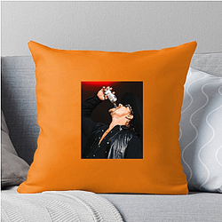 Gavin Adcock's music became popular on TikTok Gavin Adcock Pillows Cover
