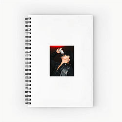 Gavin Adcock's music became popular on TikTok Gavin Adcock Notebook