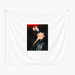Gavin Adcock's music became popular on TikTok Gavin Adcock Tapestries