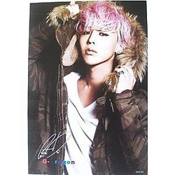 Cartoon World Big Bang G Dragon Poster 20x30