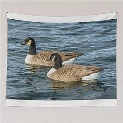 Two Canada Geese swimming on a lake tapestry