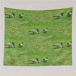 Boston Geese Tapestry