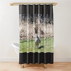 Canada Geese Shower Curtain