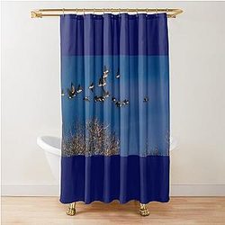 Geese in flight Shower Curtain becomes 
 Geese in flight Shower Curtain