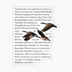 Full Sticker