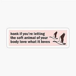 Honk If You're Letting Wild Geese Mary Oliver Bumper Sticker