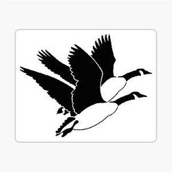 Geese Sticker