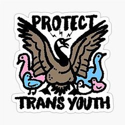 Protect Trans Youth