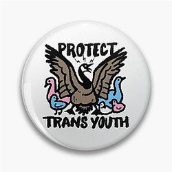 PROTECT Trans Youth Geese Pin