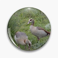 Egyptian Goose Pin