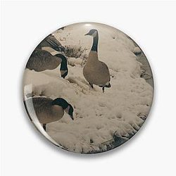 Winter Geese at the Riverside Pin
