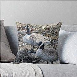 Canada Goose Throw Pillow