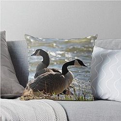 Pair of Canada Geese Throw Pillow 
 Cleaned Title: Canada Goose Throw Pillow