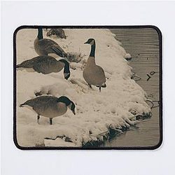 Winter Geese at the Riverside Mouse Pad