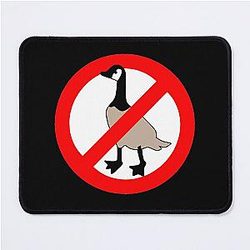 Canadian Geese Allowed Mouse Pad