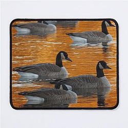 Canada Geese Floating in Reflected Fall Color The Vicksburg Collection Mouse Pad