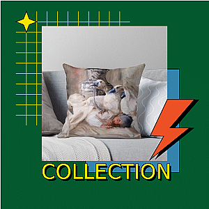Geese Pillows Cover