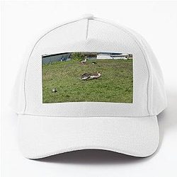 Greylag geese on the riverbank baseball cap