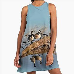 Geese at the lake A line Dress