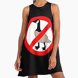 No Canadian Geese. Allowed A-Line Dress