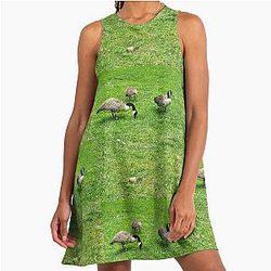 Boston A-Line Dress