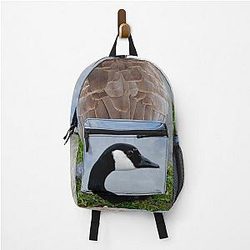 Canadian Geese Wild Bird Pack