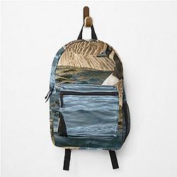 Two Canada Geese Swimming on a Lake Backpack