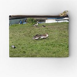 Greylag geese on the river bank pouch