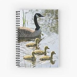 Canada Geese Branta canadensis Spiral Notebook