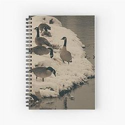 Winter Geese at the Riverside Notebook
