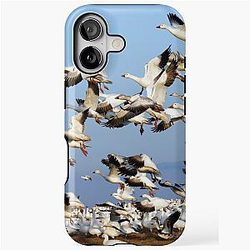Snow Geese Take Off iPhone Case