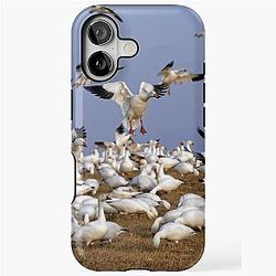 Snow Geese in Flight iPhone Case