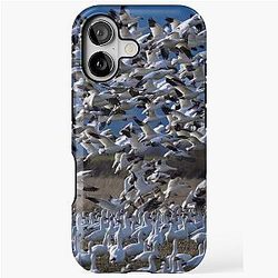 Flocking Beautiful Snow Geese iPhone Case