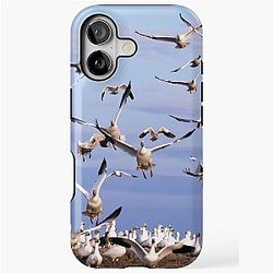 Snow Geese Take Flight iPhone Tough Case
