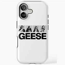 Geese iPhone Tough Case