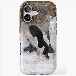 Two Canada Goose Eating Snow iPhone Tough Case