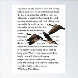 Full Geese Poster