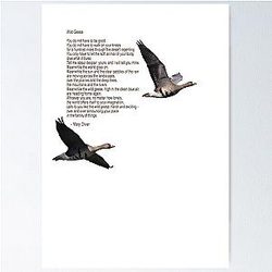 Wild Geese Poem