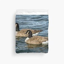 Two Canada Geese swimming on a lake with a duvet cover