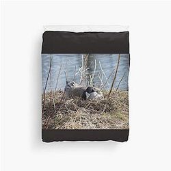 Canada Geese Nesting Duvet Cover