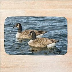 Two Canada Geese on a lake, bathing
