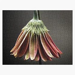 Studio Flower Jigsaw Puzzle