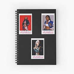 GloRilla Sticker Set T-Shirt Spiral Notebook