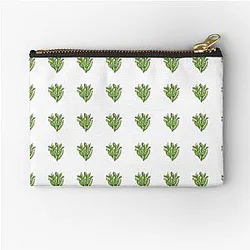 Crassula ovata Gollum Pouch