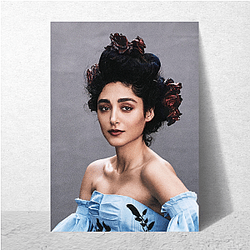 Golshifteh Farahani Collection for fans Golshifteh Farahani Posters
