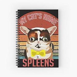 My cat's name is Spleen, Gray still plays Spiral Notebook.