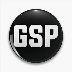 Gray Still Plays HD Logo (Ver. 2) Pin