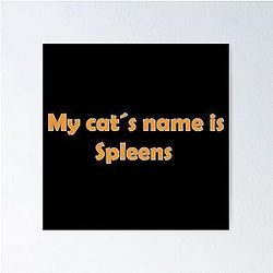 My cat's name is Spleens Gray Still Plays Poster
