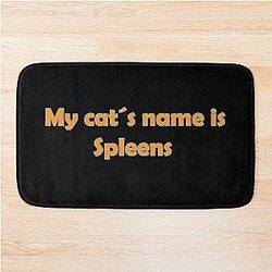 My cat's name is Spleens a gray still plays Bath Mat